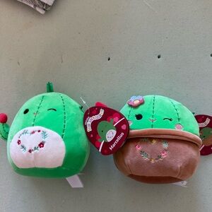 Cactus valentines set